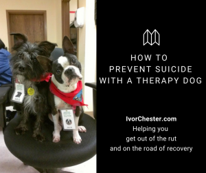 Therapy dogs on chair at clinic | Help prevent suicide