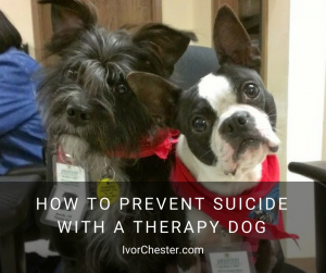 prevent-suicide-therapy-dogs